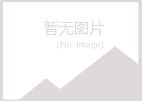 莱山区埋没机械有限公司